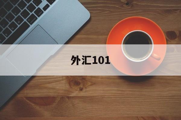 外汇101(外汇110app)