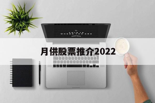 关于月供股票推介2022的信息