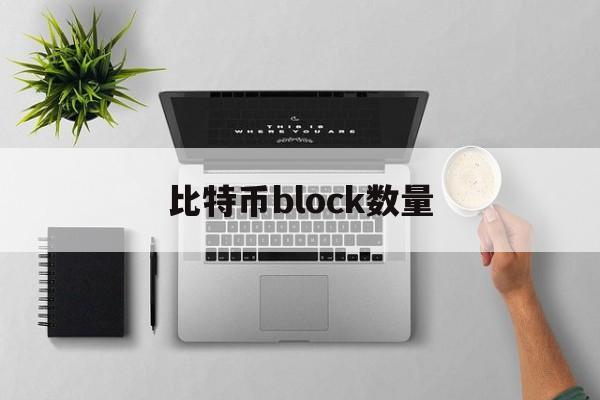 比特币block数量(比特币blockchain)